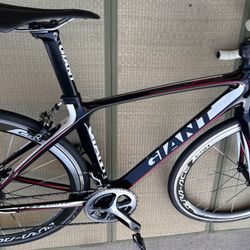 Giant Road Bike 
