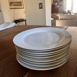 White Dinner Plates 