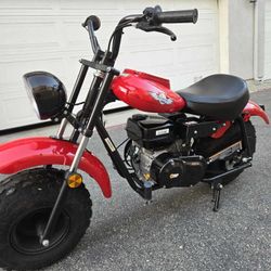 Gas Powerd Mini Bike
