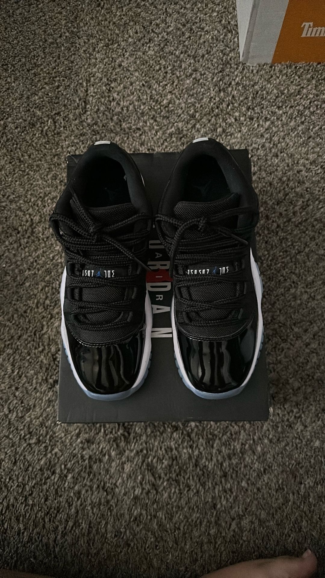 Jordan 11 Lows
