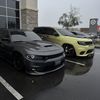 Miguels wall caps