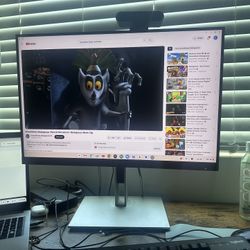 HP LCD Monitor - 24”