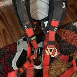 Harnesses 