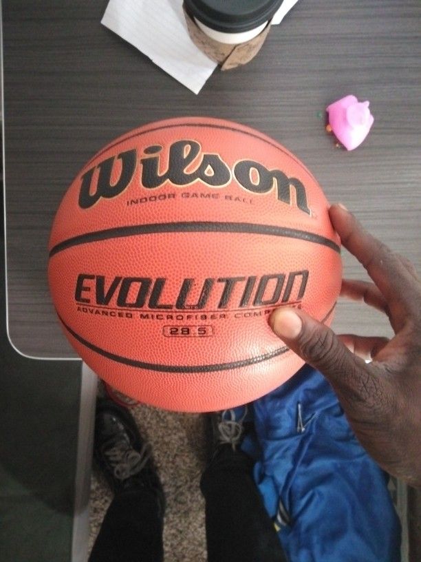 Wilson Evolution Basketball