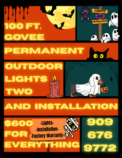 100 ft Govee Permanent Outdoor Lights 2 (With Installation)