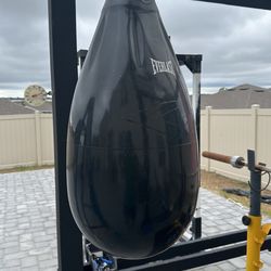 Everlast Water Punching Bag