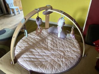 Ingenuity Cozy Spot Gym