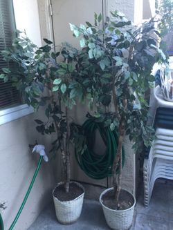 Tengo 2 plantas artificiales decoracion
