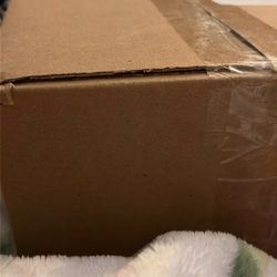 Uggs. 6us In Women Size 