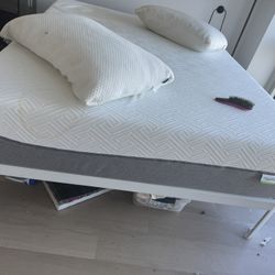 Queen Bed Frame 