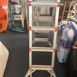 Little Giant Ladder 
