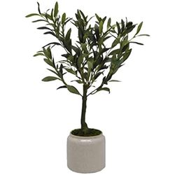 Faux Olive Plant 