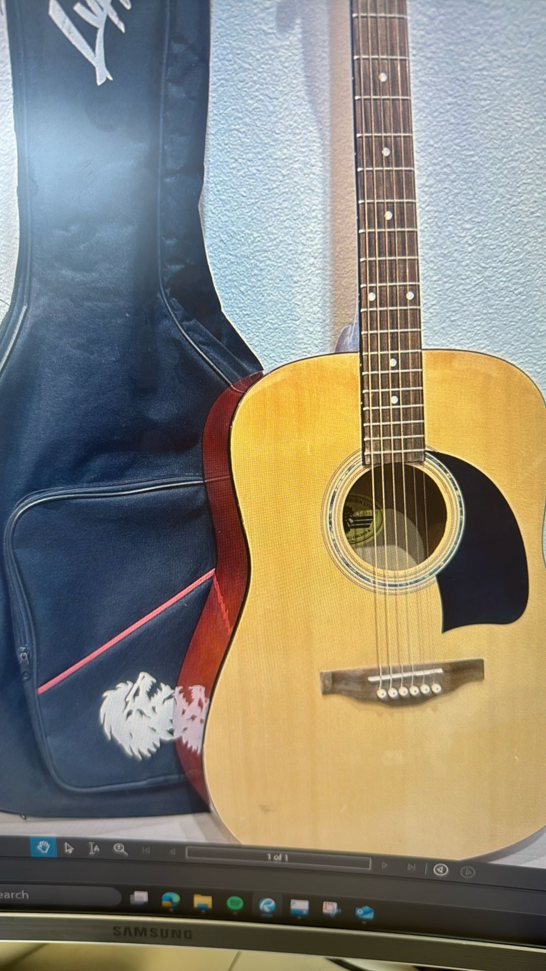 Acoustic Guitar- George Washburn Lyon