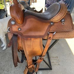 Ortho flex Saddle