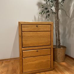 Solid Wood File Cabinet