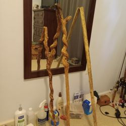 Walking Stick 