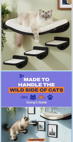 Cat wall shelves $$50