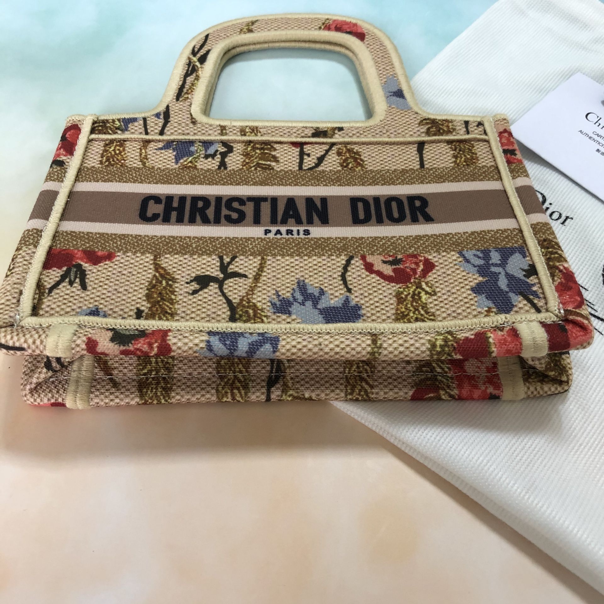dior women's bag