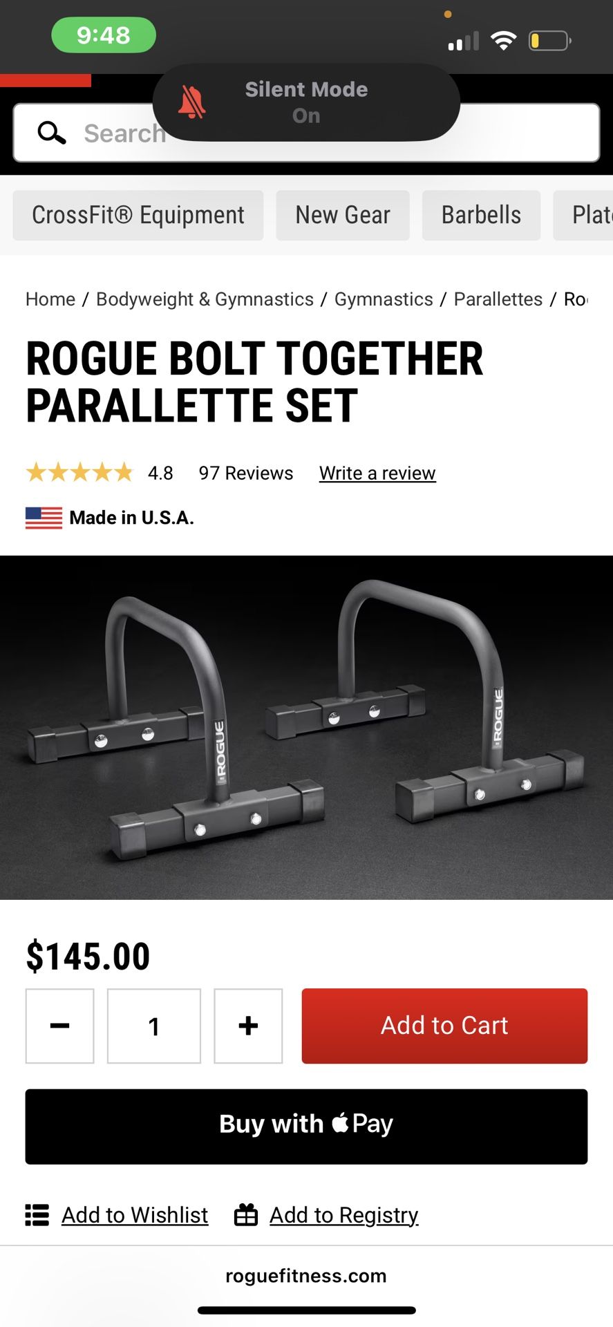 Rogue Parallette Set