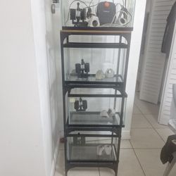 4 Peceras De 10 Gal
