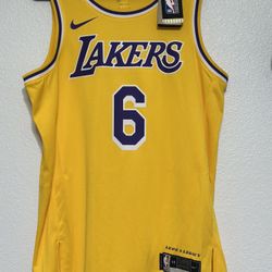 NBA LOS ANGELES LAKETS JAMES #6 Size L