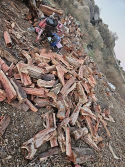 Firewood
