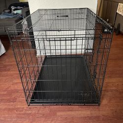 Dog Kennel 