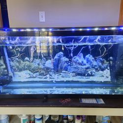 Glass aquarium 55 gallons