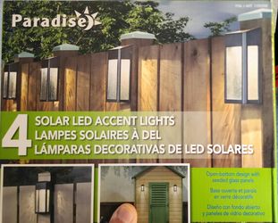 Backyard Solar Led Light
