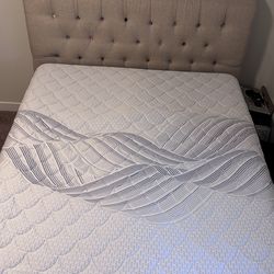 Bed frame, spring box and very good mattress