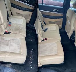 Interior Shampoo Cleaner