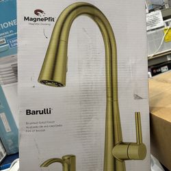 Pfister Barulli Single Handle Pull Down Sprayer Kitchen Faucet with Deckplate Included and Soap Disp
