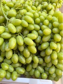 Uva verde sin cemilla  recién cortadas