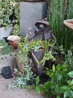 Metal frog planter with succulents