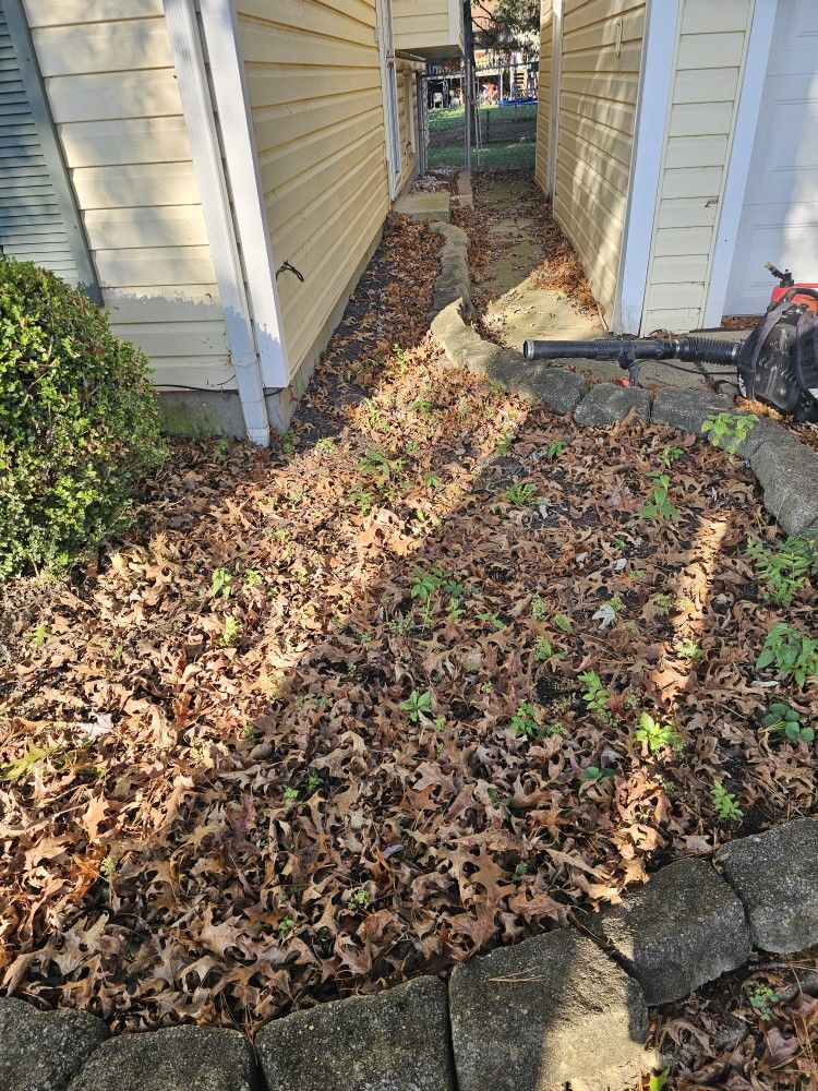 leaf removal