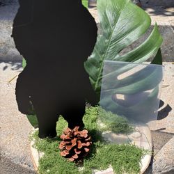 Centerpieces 