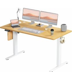 Electric Standing Desk 
