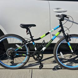 Guardian Bike 24"