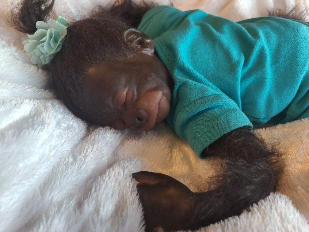 Baby Gorilla/ Reborn Doll