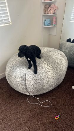 Bean Bag perfect condition
