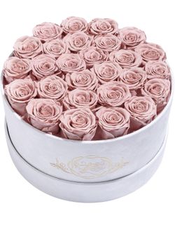🌹 17 Preserved Roses in Luxury Suede Box – Dusty Rose 🌹
