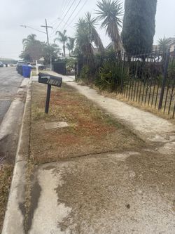 Yards / Jardin @//