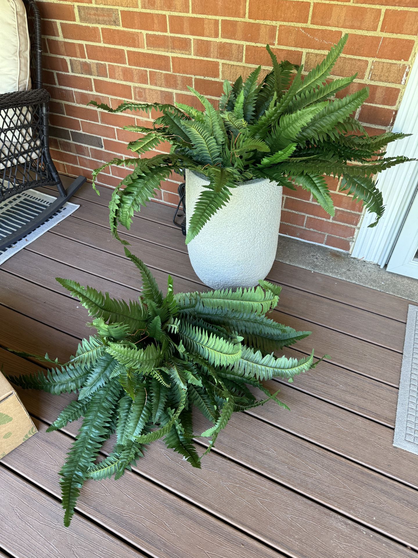 Two Boston Ferns - Nearly Natural Artificial Plant