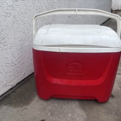 Igloo Cooler 