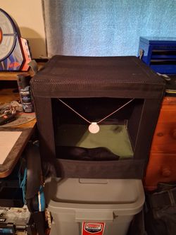 Target for Nerf Darts, Bbs, and Slingshot.