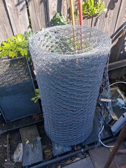 Chicken wire