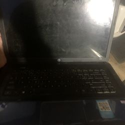 HP Laptop