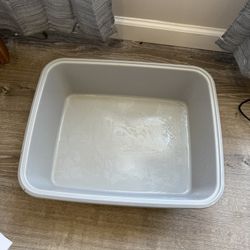 Cat Little Box Bundle 