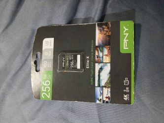 256 GB SD card
