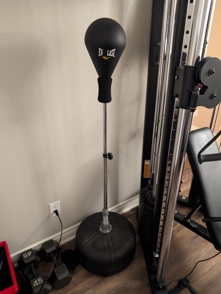 Everlast Punching Bag